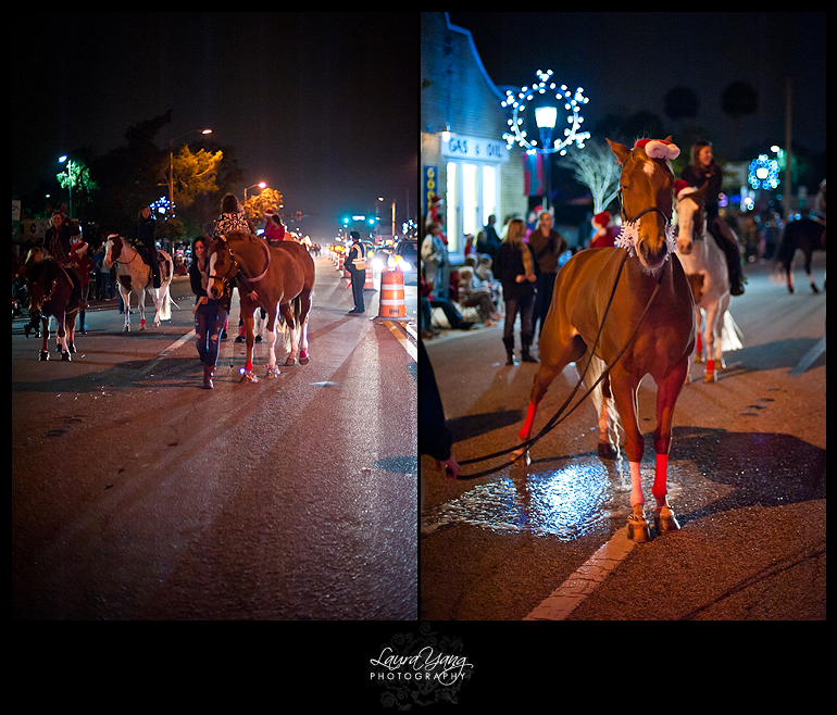 Holly Jolly Hoofbeats The Ormond Beach Christmas Parade