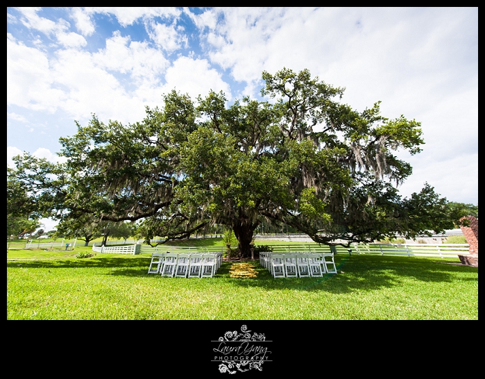 Highland Manor Orlando Wedding Venue.jpg