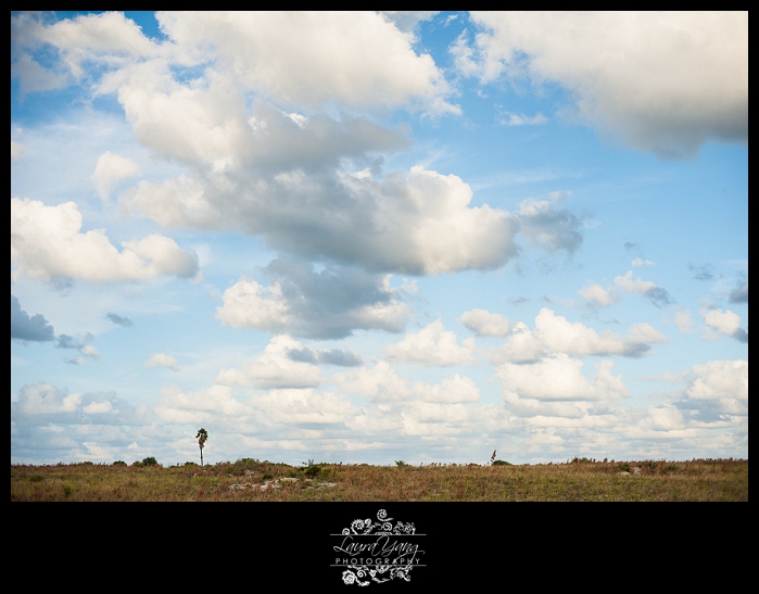 Smyrna Dunes Park