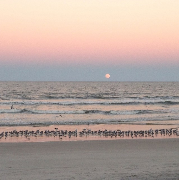 Daytona-Beach-moonrise