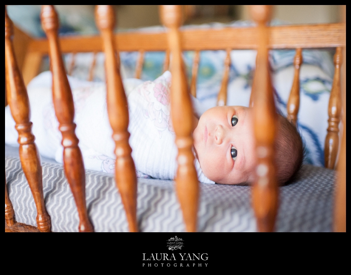 Daytona newborn photographer