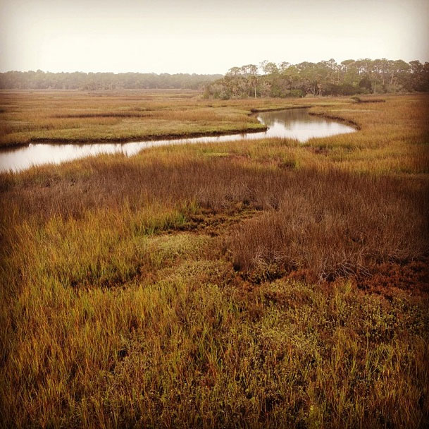 Volusia-County-Wetlands