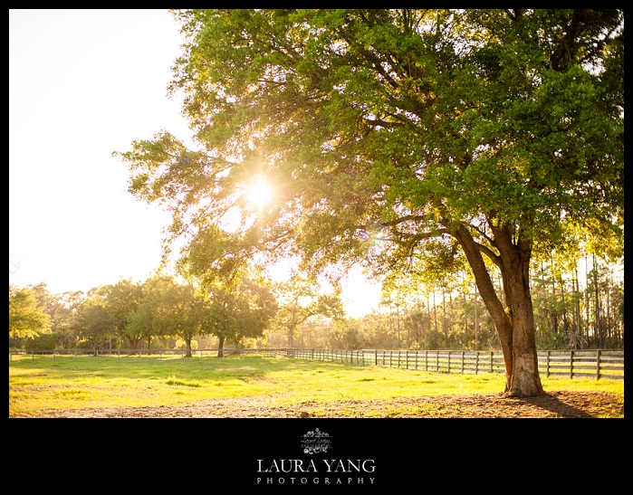 Milennium Stables Ormond Beach Florida