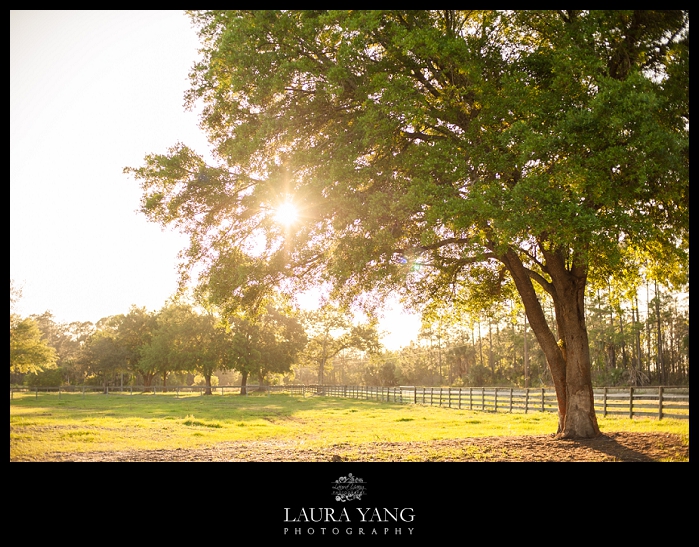 Millenium Stables Ormond Beach