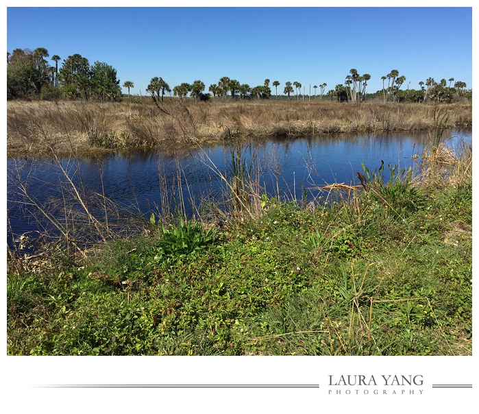 Lake Woodruff