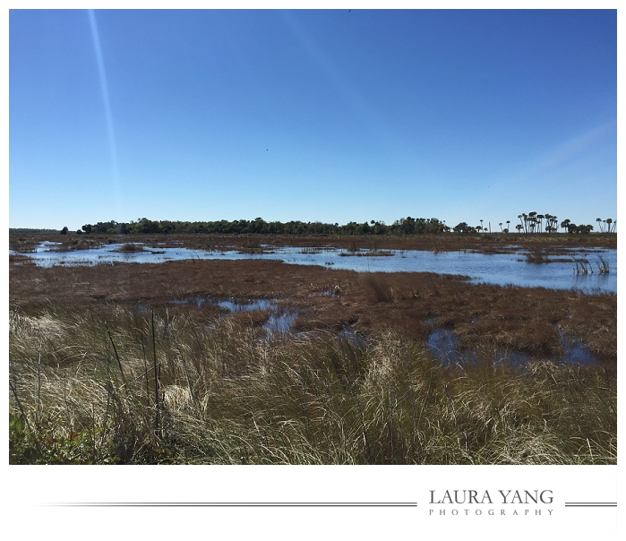 Lake Woofruff Wildlife Refuge