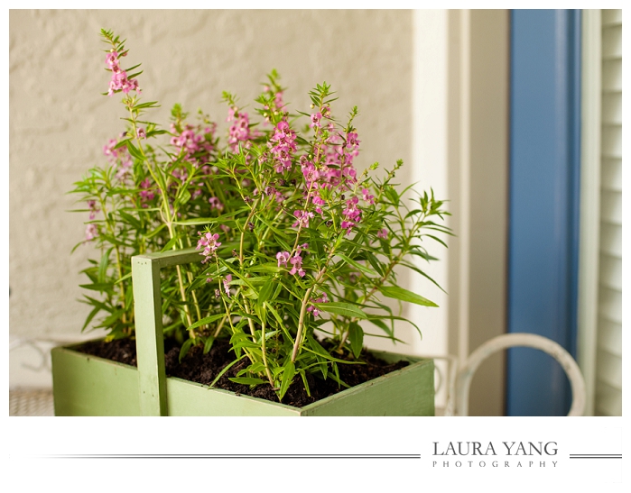 Spring Flower Box