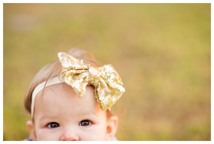 View More: http://laurayangphotography.pass.us/babyharper