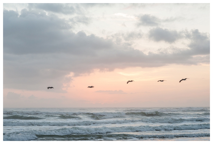 ormond-beach-photography